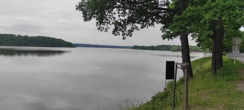 Mistrovství oblasti Vltava